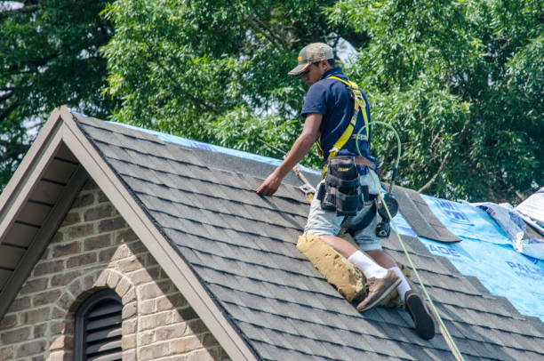 Best Roof Leak Repair  in Mackinaw, IL